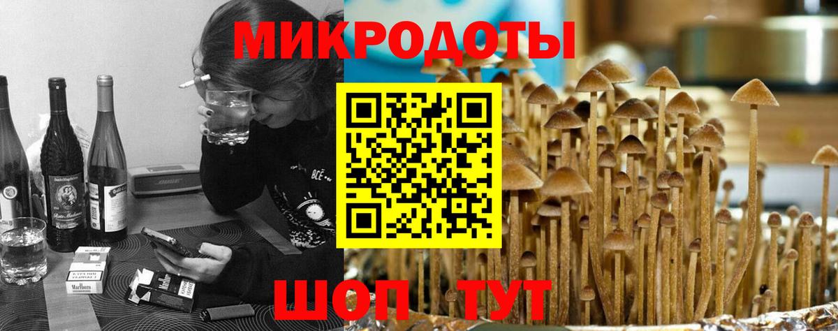 купить закладку  Псилоцибиновые грибы Magic Shrooms  Вход с VPN  Биробиджан  Галлюциногенные грибы Psilocybe 